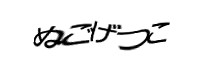 Authentication image