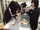 DSCF5496