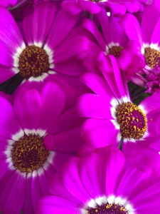 98757925-1AB4-4B05-8E5B-CE34CA9CB2D9