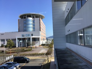 IMG_7181