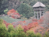 DSCF3558