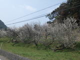 DSCF5800