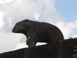 P1030416