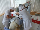 DSCF4585