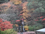 DSCF3557