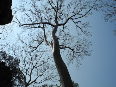 DSCN5032