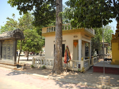 DSCN5139