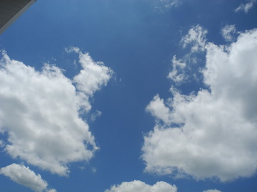 DSCN6538