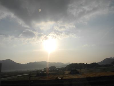 DSCN7850