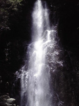 P1000006