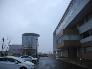 DSCN7982