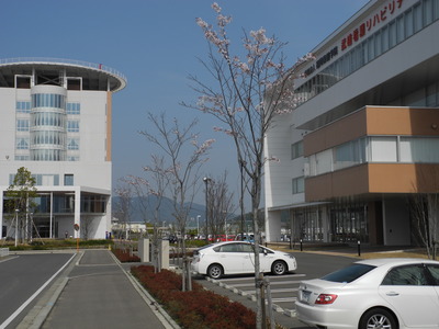 DSCN5552