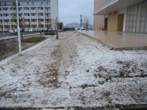 DSCN7983