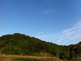 IMG_0291