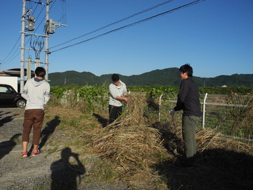 DSCN7067