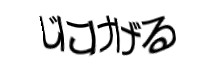 認証画像