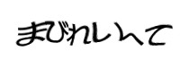 Authentication image